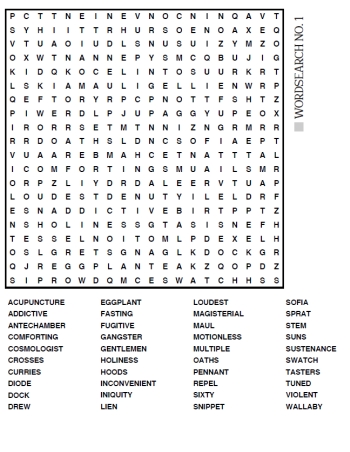 jumbo 20x20 wordsearch puzzles